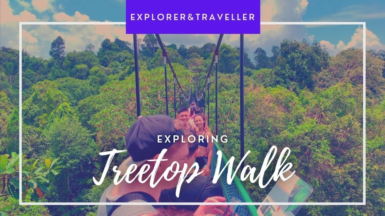 Exploring TreeTop Walk