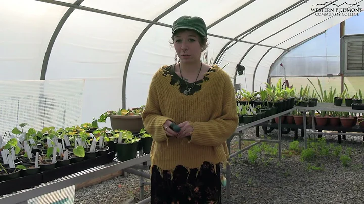 WPCC Horticulture - Emilie Caudell