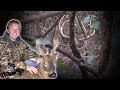 Buck Down! | Bowhunting Wisconsin & Illinois