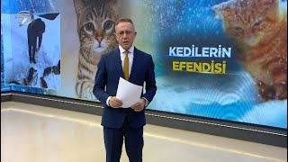 Kedi̇ler Karda Tek Sira Hali̇nde Yürüdü