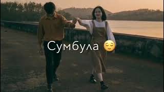 Sumbula. Сумбула. Топ. музыка