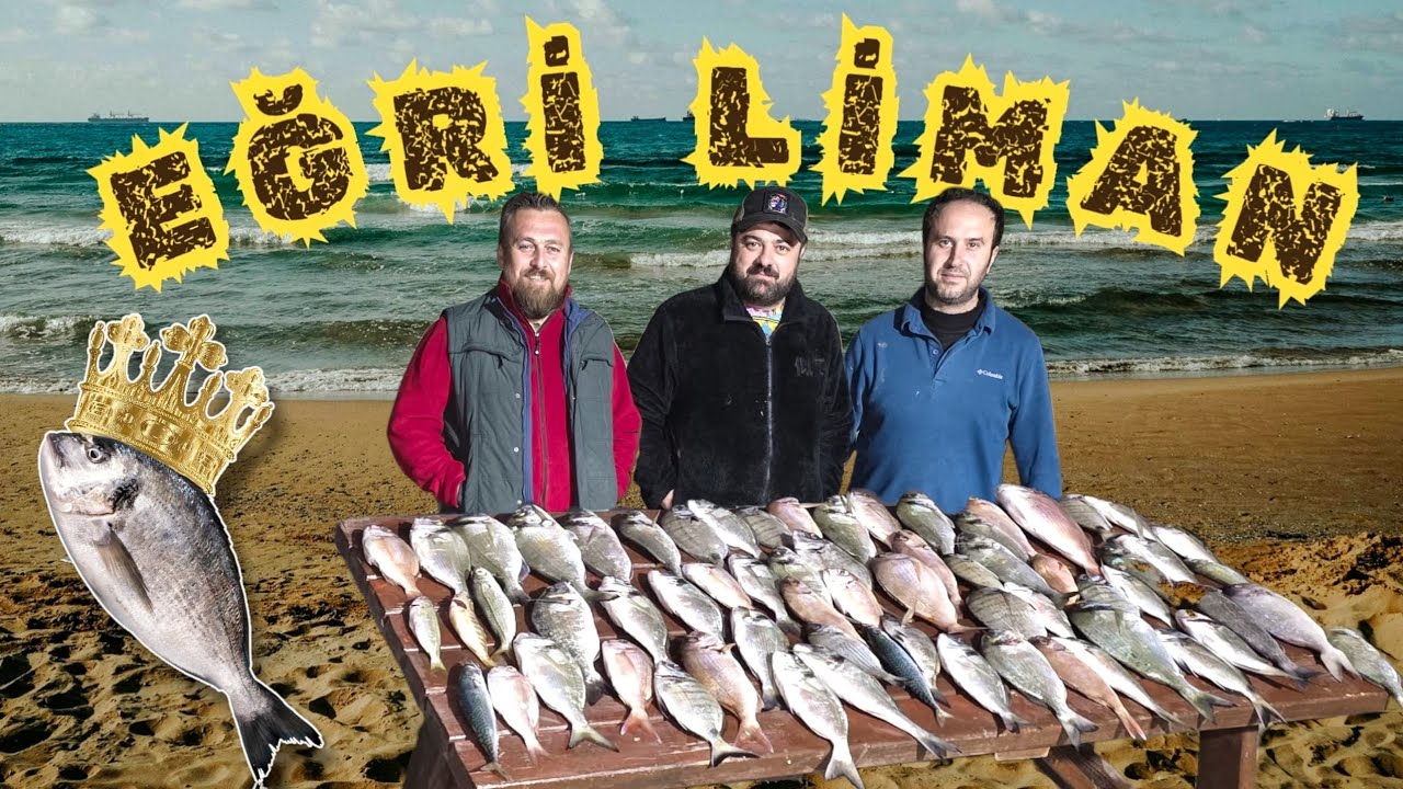 🎣