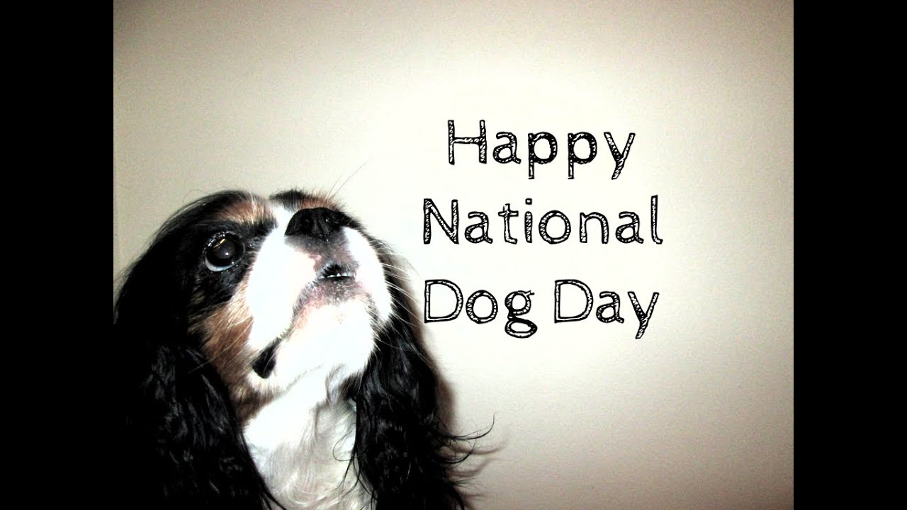 ☆ Happy National Dog Day! ☆