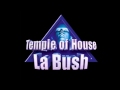 La bush music from the temple of house vol2 1996 mixed by dj georges
