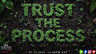 Trust The Process