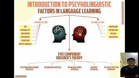 Final Exam Introduction to Psycholinguistic (Factors in Language Learning)