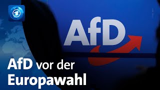 Immunität mehrerer AfD-Abgeordneter aufgehoben - Angriff auf AfD-Politiker in Schwerin