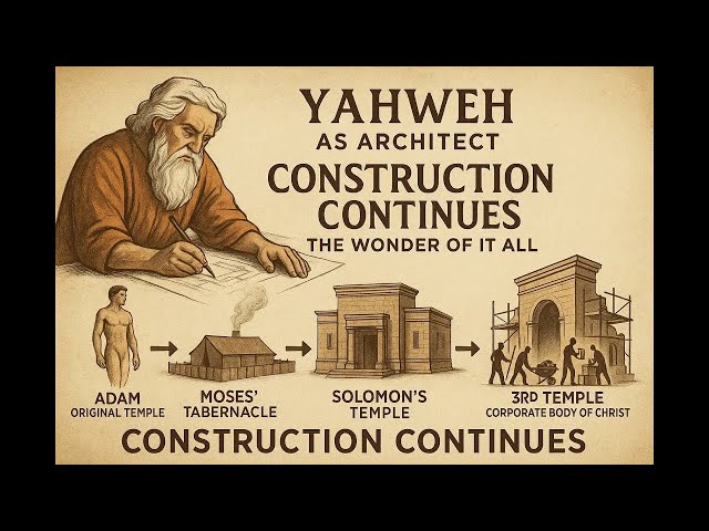 Part 6 - CREATION CONTINUES - The Wonder of it all...