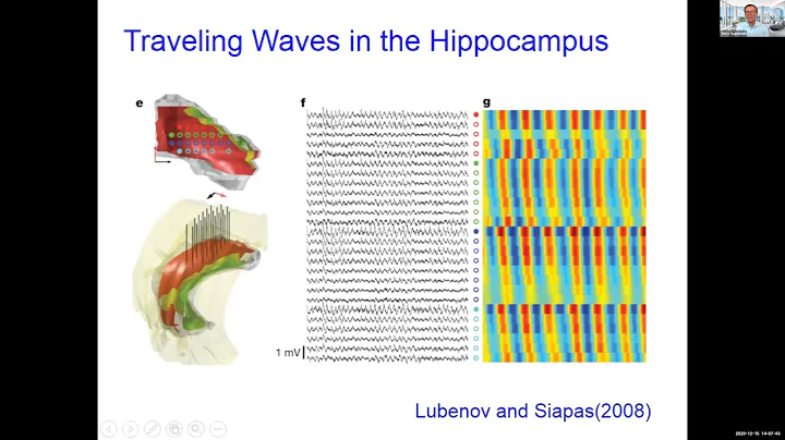 What are traveling waves good for?  - Terry Sejnow...