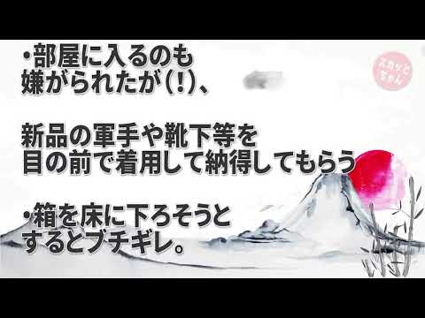 神経分からん話 運送屋の俺。病的に潔癖症な客から、家電の組立と取付の依頼があった→玄関周りを養生しようとしたら客「絶対に嫌だ！」家に入ろうとしたら客「部屋に入るな！」俺「え！？」