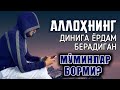 Аллоҳ динига ғам қилувчи мусулмонларга эслатма | Шайх Абдуллоҳ Зуфар Ҳафизаҳуллоҳ | TIKTOK Instagram