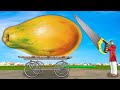 Giant papaya विशाल पपीता Funny Comedy Story Hindi Kahaniya हिंदी कहानिय Hindi Comedy Video