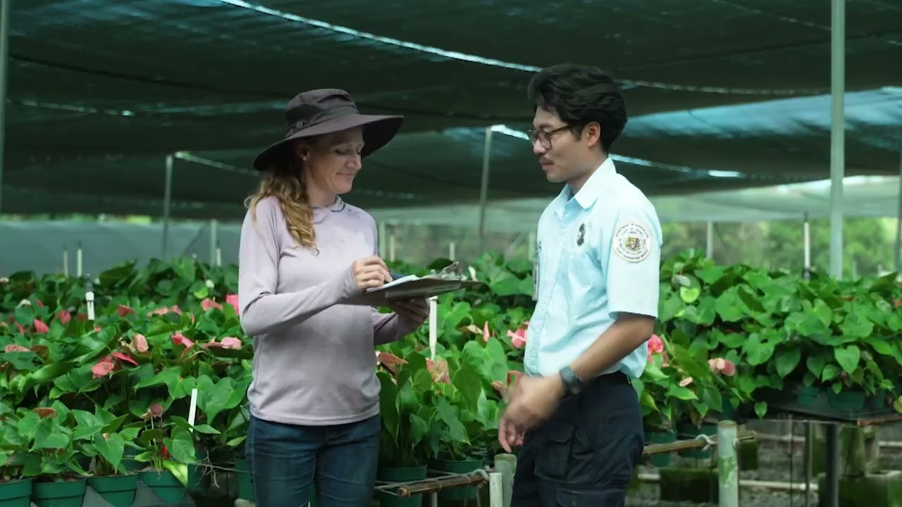 DEPARTMENT OF AGRICULTURE