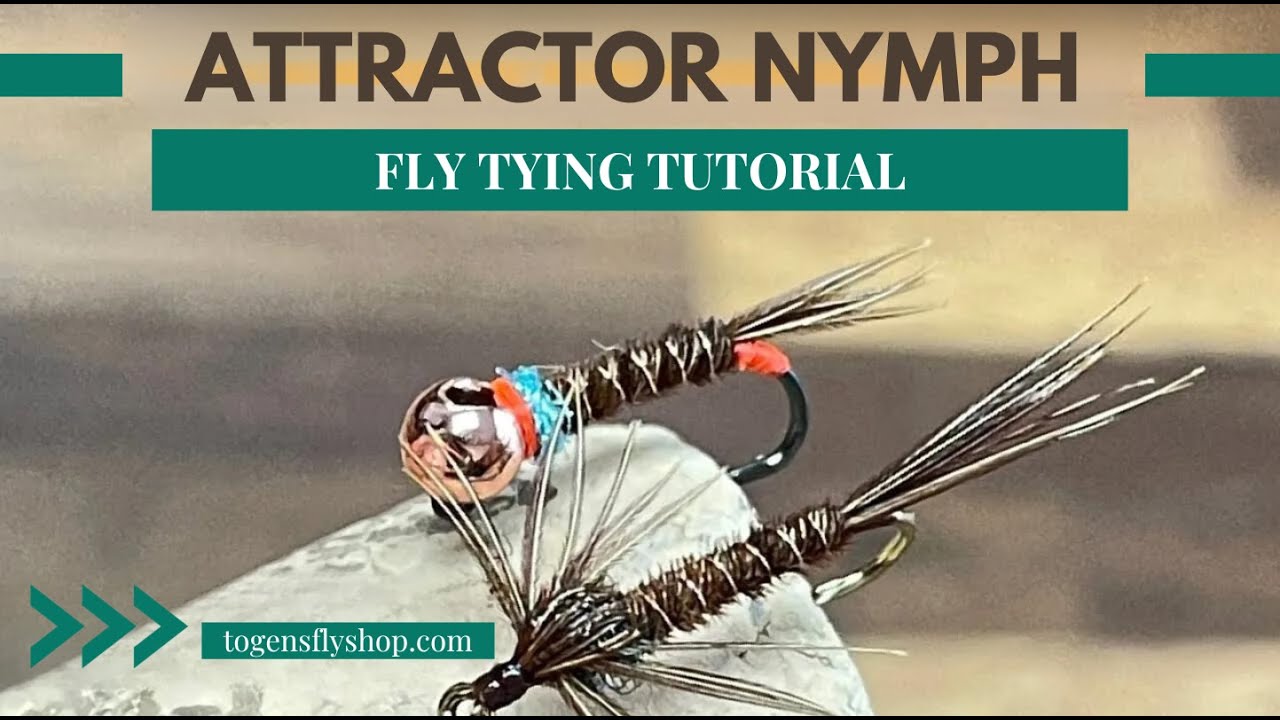 Attractor Nymph – Togens Fly Shop