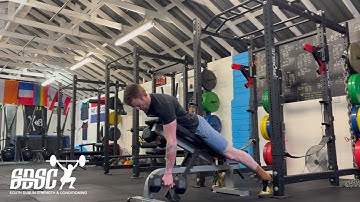 Iso Dynamic Incline DB Row