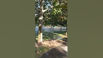 ولا تقولن لشيء اني فاعل ذلك غدا🌿سورة الكهف