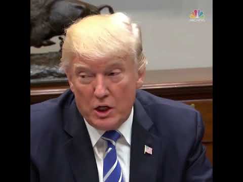 Trump on Dreamers " I have a love for these people"