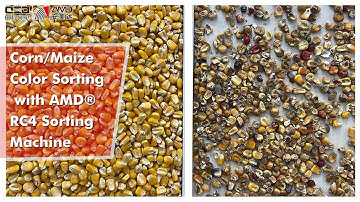 Maize/Corn Color Sorting with AMD® RC Sorting Machine