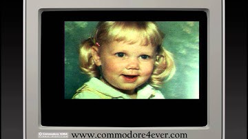 NewTek DigiView demo picture - Commodore Amiga