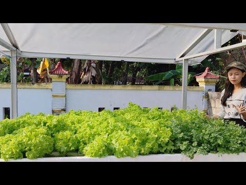 Membuat Rakit Apung Untuk Berkebun Sayur Di Halaman Rumah