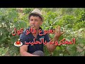 الحاج راه ظاعرو نعنوع الحاج راه ظاعرو نعنوع