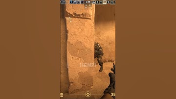 Bro was hiding for his life in plain sight 😂 #counterstrike #cs2 #hemzigaming #galilar