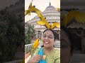 ಹಾಗೆ ಸುಮ್ಮನೆ ಟ್ರೈ ಮಾಡಿದೆ 😊 #ytshorts