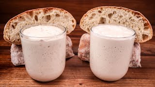 Sourdough Starter vs Commercial Yeast | Can You Get Comparable Results?