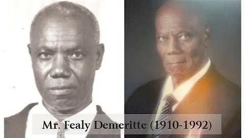 Fealy Demeritte Homegoing Parade & Burial (Februar...