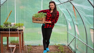 ДВА ДНИ НА СЕЛО: Разчистваме лятната кухня + новости в градината 🌱👨‍🌾 | ЖИВОТ НА СЕЛО | Boho Soulz