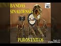 BANDA SINALOENSE  DE VIENTO PUROS EXITOS