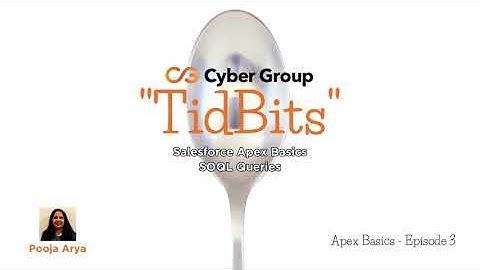 Salesforce Apex Basics Episode 3 - SOQL Queries