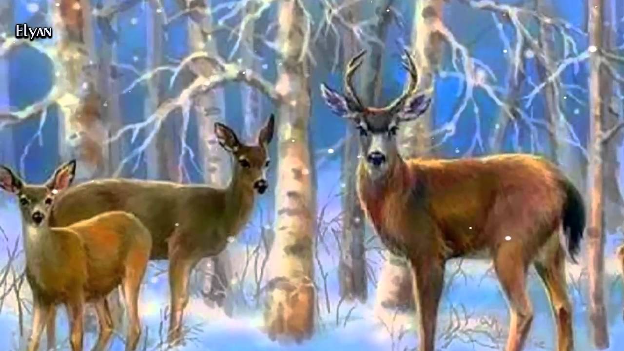 Download Winter Sonata - Only You - Park Jung Won - Piano & Violin - YouTube