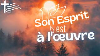 Word and Gospel of the Day | Saturday, October 17 • The Holy Spirit will teach you at the HOUR