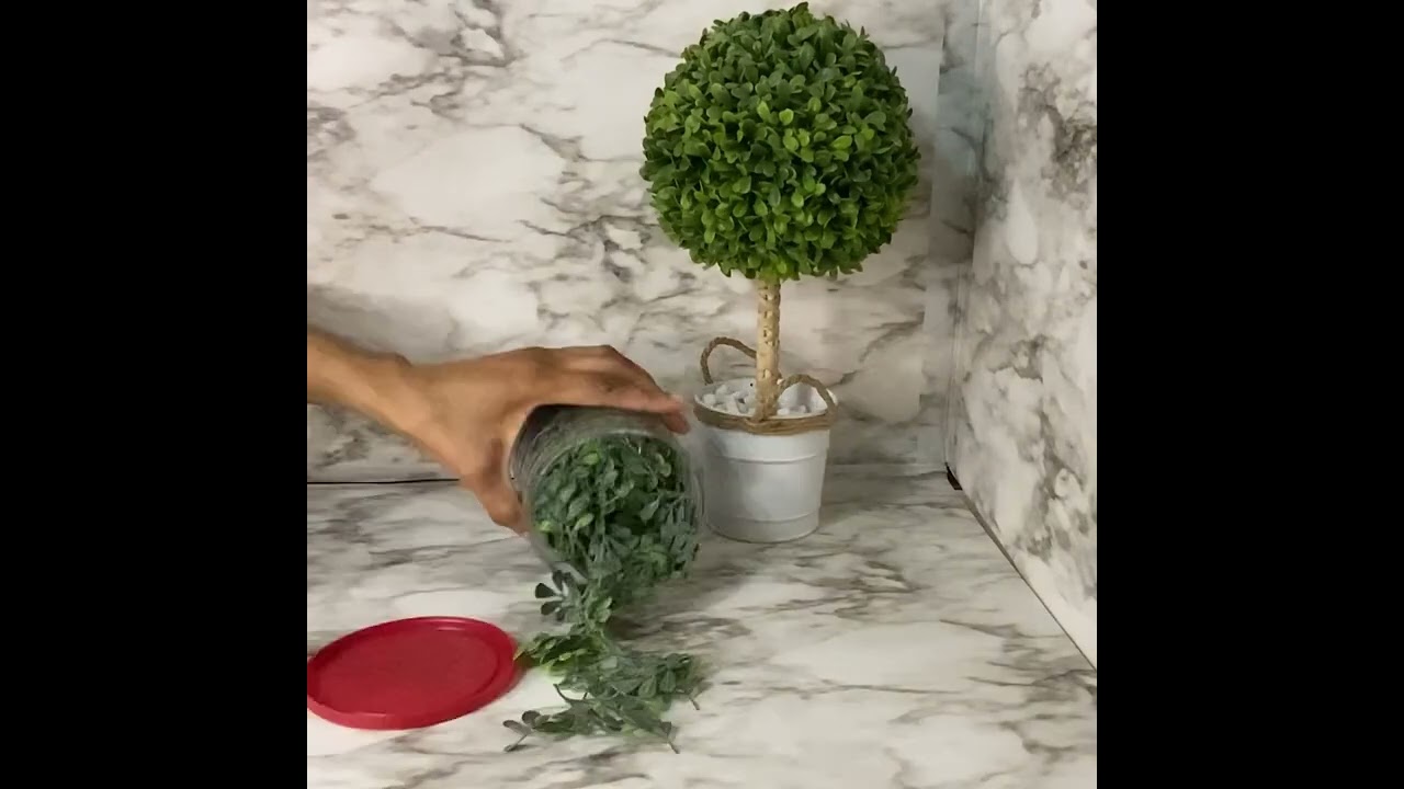 DIY TOPIARY BUDGET FRIENDLY /  Full Video Link In The Description 