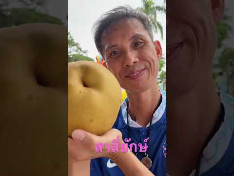 ผลสลากกินแบ่งรัฐบาล วันที่ 1 พย. 2567
