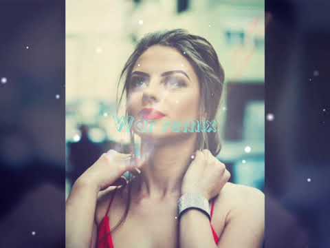 GAYAZOV$ BROTHER$ -