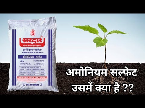 वीडियो: मैं अपने लॉन में अमोनियम सल्फेट कैसे लगाऊं?