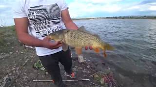 Рыбалка на платном озере  Казахстан Алматинская область г Талдыкорган