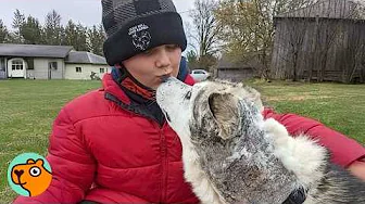 Dog Who Lived Outside For 11 Years Finally Gets A Home | Cuddle Buddies