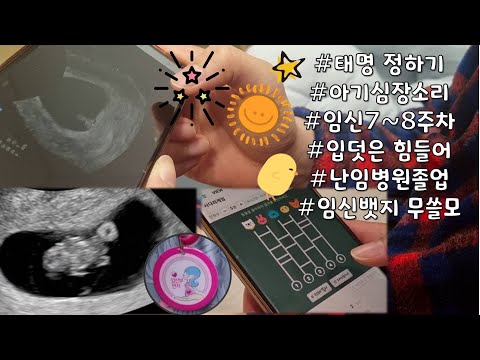 [임신일기-2] 6~8주차ㅣ첫 심장소리를 남편과 함께 들었어요!!