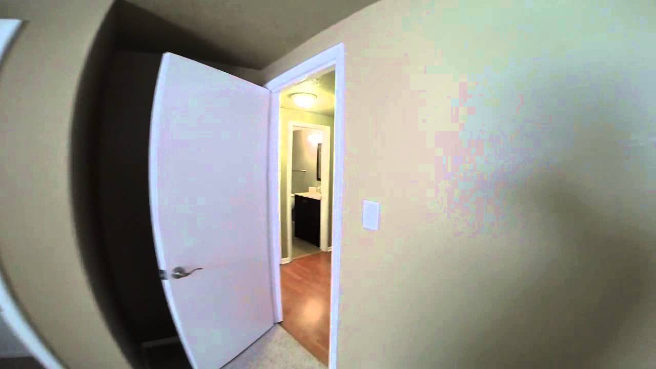Bare Property Management YouTube