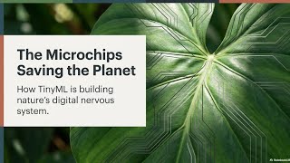 The Microchips Saving the Planet! | What is TinyML?