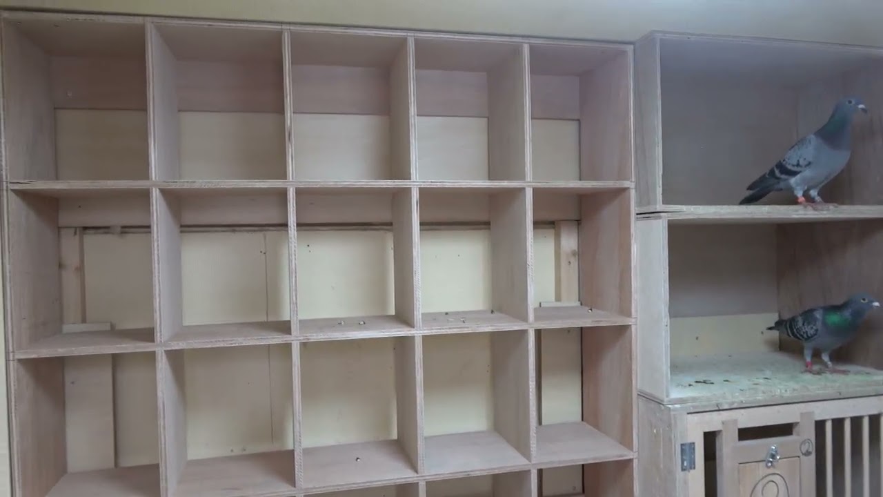 Filmed on June 23, 2026: Remodeled the interior of the racing