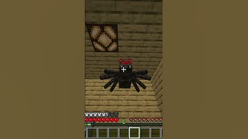 When a Spider gets inside your Minecraft house 🕷️ #shorts