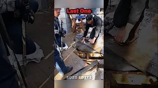 Other Random Kindness Vs Last One