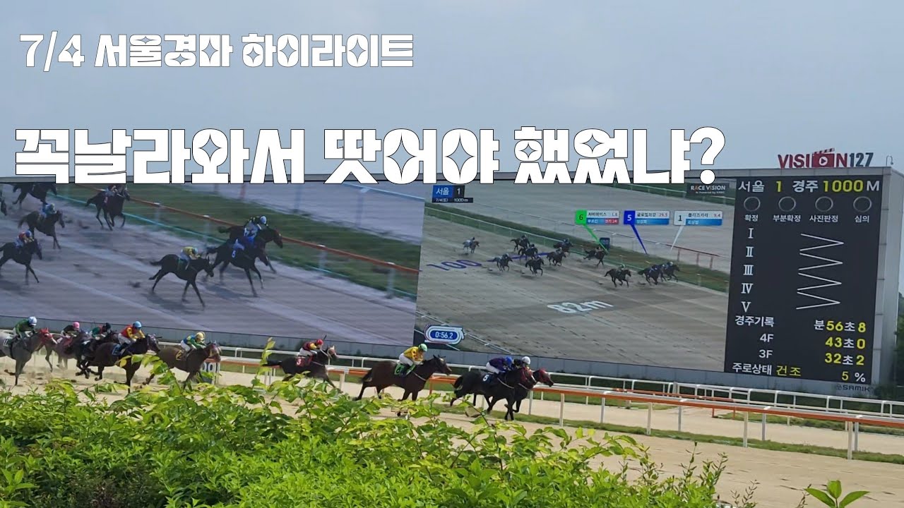다 먹었다했는데 3번이 날라와서 고추가루 뿌리네~(서울경마 하이라이트)