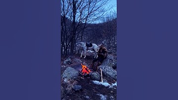 #اكتب_شي_تؤجر_عليه 💞#القرآن_الكريم #القرآن_الكريم #القران_الكريم #قران_كريم #قرآن #تلاوات