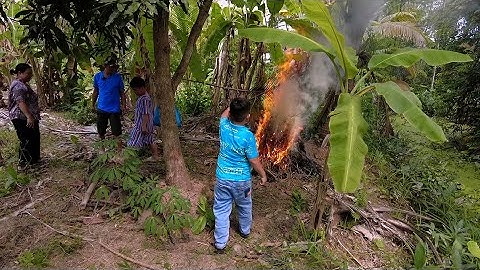 Cá Lóc Nướng Trui, Đặc Sản Miền Tây