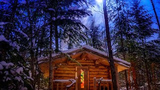 In the Forest with my Wife and Dog | Off Grid Log Cabin in the Wilderness